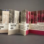 Pantone Book from the Book of the Week project by Laura Chenault