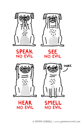 Four Wise Pugs  by Gemma Correll