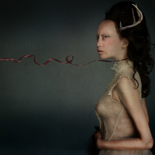 Freiwild by Anja Millen from the Fauna series