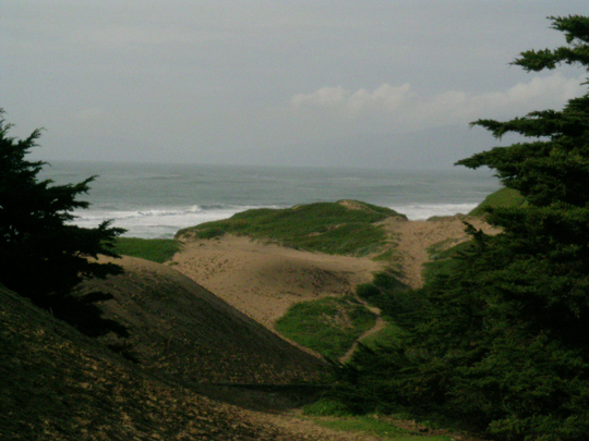 San Dunes at Fort Funston, San Francisco, California