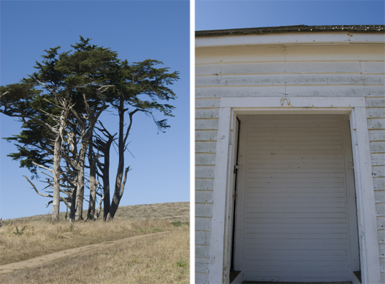 A building at Pierce Point Ranch