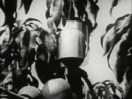 Still from the film Thanksgiving Pi by Laura Chenault