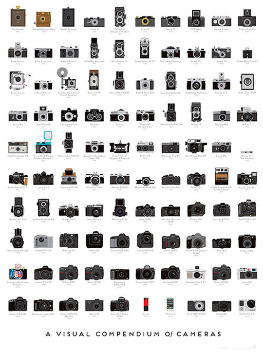 A Visual Compendium of Cameras Poster by Pop Chart Lab