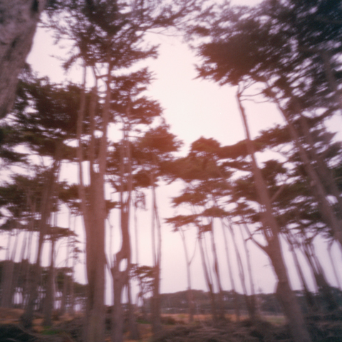 Image from La Sonámbula by Laura Chenault Image from La Sonámbula by Laura Chenault