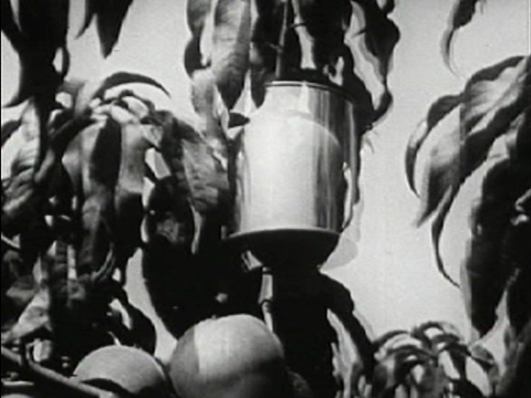 Still from Thanksgiving Pi by Laura Chenault Still from Thanksgiving Pi by Laura Chenault