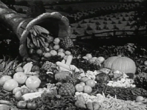 Still from Thanksgiving Pi by Laura Chenault Still from Thanksgiving Pi by Laura Chenault