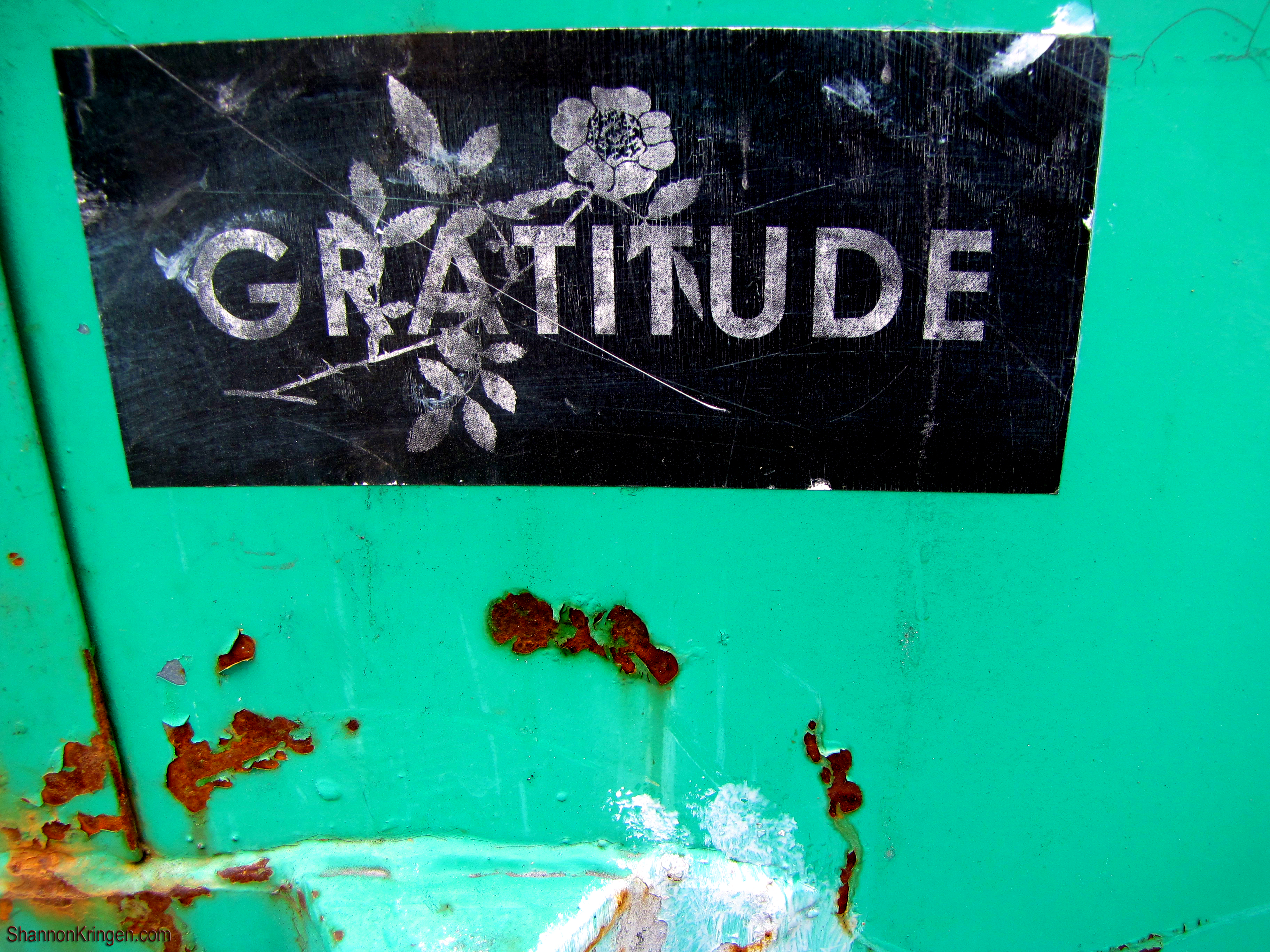 Photo of the word Gratitude in white distressed type on a black rectangle on a green rusted background. Photo by Shannon Kringen