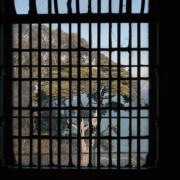 Photo of Alcatraz Prison by Laura Chenault