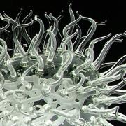 E. Coli glass sculpture by Luke Jerram
