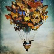 Fly Away by Christian Schloe