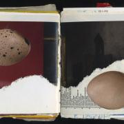 Random Journal Page 155 by Laura Chenault is a spread with black and red torn paper covering a little over half the page and two eggs are positioned in opposite corners.