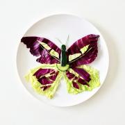 Papillon by Culinary Canvas